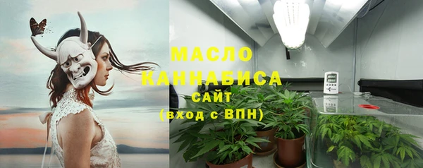 сатива Верея