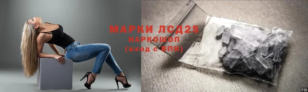 сатива Верея