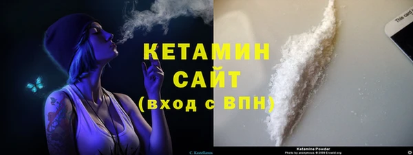 сатива Верея