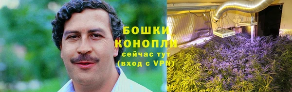 сатива Верея