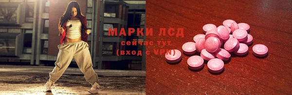 сатива Верея